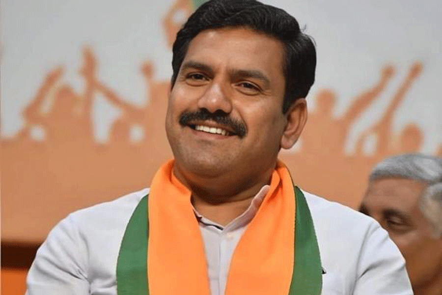 1699659320_yeddy